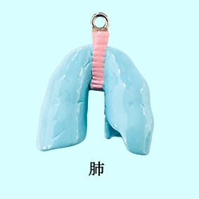 肺