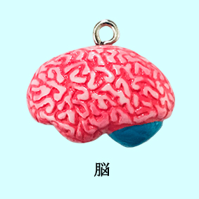 脳